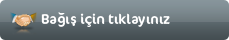 Online Bağış